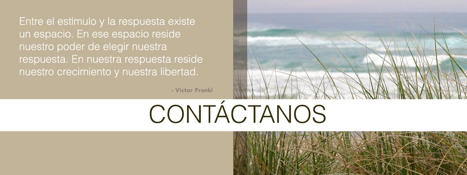 Mindfulness-Based Tinnitus Stress Reduction