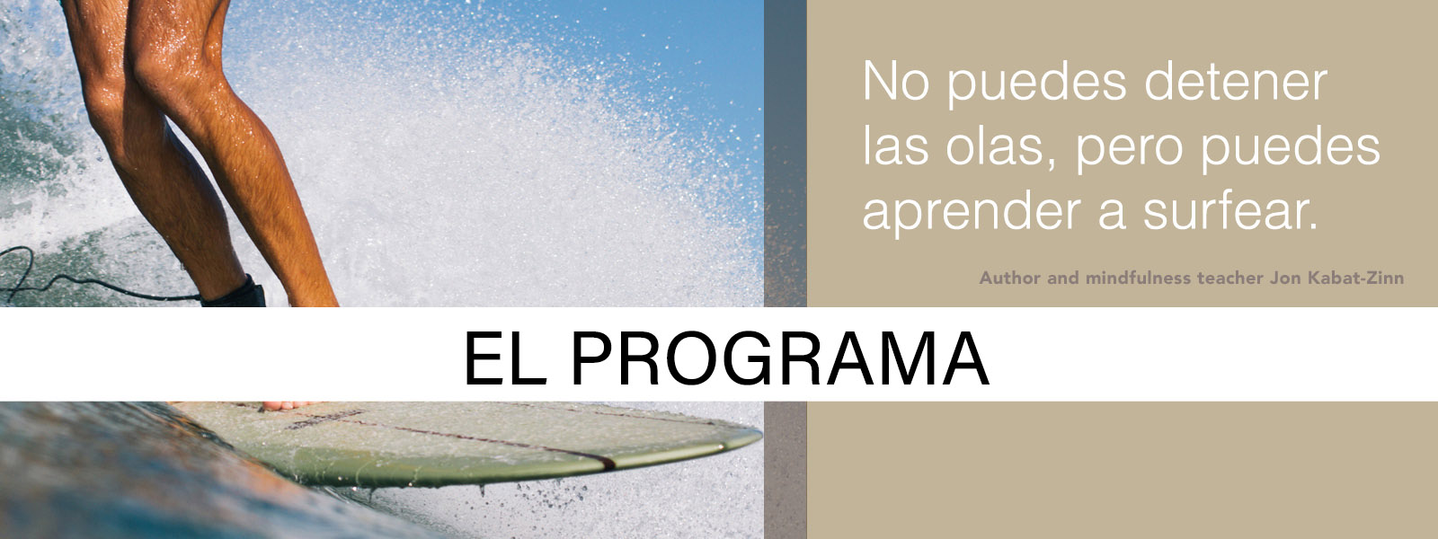 Mindfulness-Based Tinnitus Stress Reduction